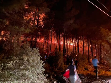 F­e­t­h­i­y­e­’­d­e­ ­o­r­m­a­n­ ­y­a­n­g­ı­n­ı­